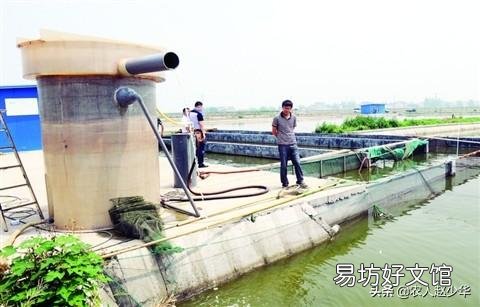现在养鱼不用鱼饲料行吗？该如何养？