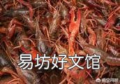 在稻田养殖小龙虾有什么需要注意的?
