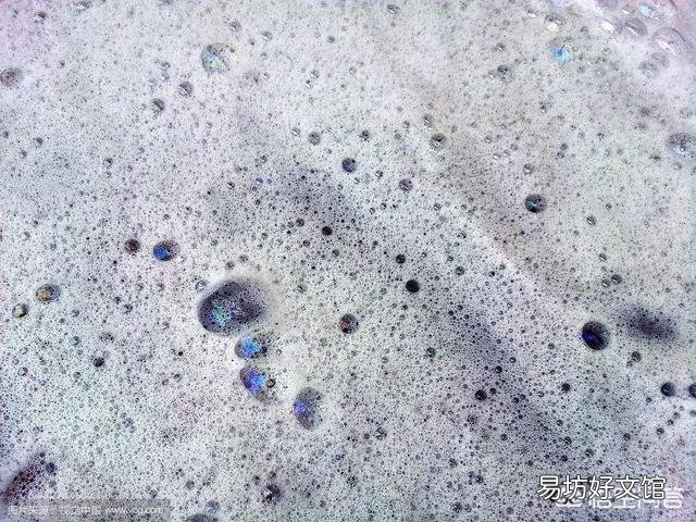 水产养殖如何巧妙使用乳酸菌？