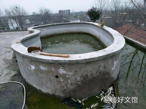 用钢筋混凝土做了一个鱼池,是等混凝土彻底干了之后再放水好,还是不用等干了?为什么?