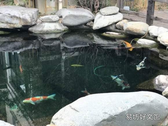 用钢筋混凝土做了一个鱼池,是等混凝土彻底干了之后再放水好,还是不用等干了?为什么?