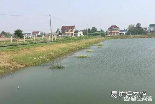 ?水产养殖过程中鱼苗池有哪些常见的敌害生物?怎样防治?
