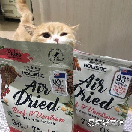 乳白猫是什么品种(乳白猫多少钱一只)