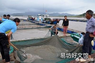 农业生产者的利润都去了哪？