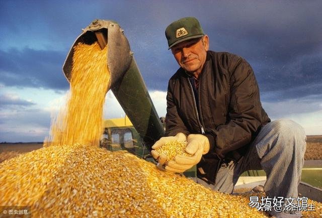 农业生产者的利润都去了哪？