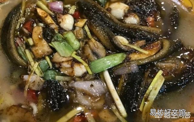 经常听农村老人说:“黄鳝不吃头,田螺不吃尾”,为啥会这样说?有道理吗?