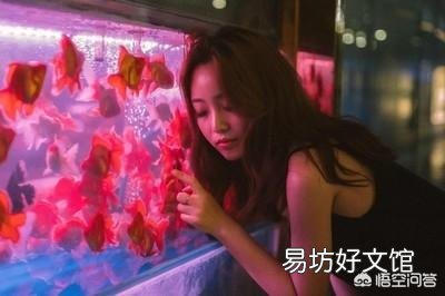 自来水中含有哪些危害金鱼或热带鱼的有毒物质?