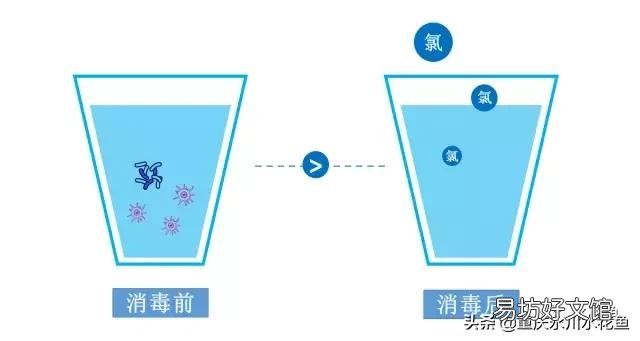 自来水中含有哪些危害金鱼或热带鱼的有毒物质?