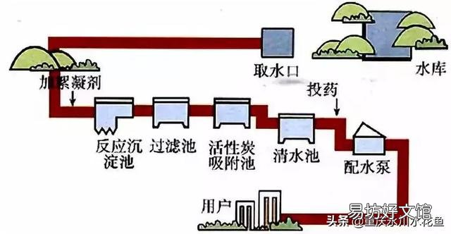自来水中含有哪些危害金鱼或热带鱼的有毒物质?