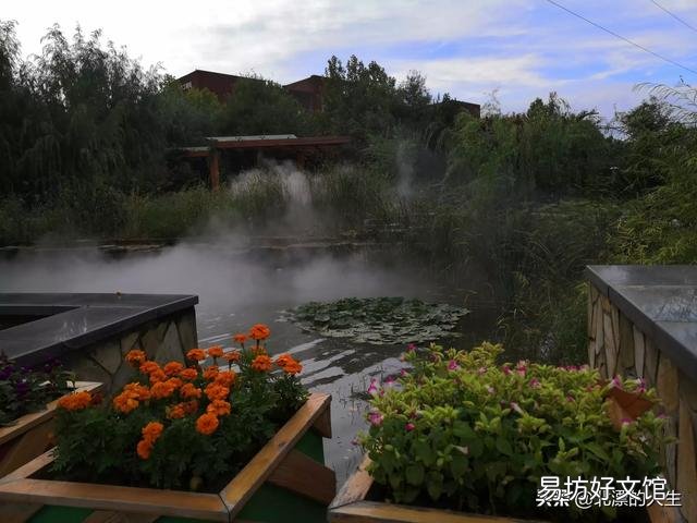 我有一个想法,鱼池中间建沙池,把水通过沙池再过滤到鱼池,沙池里面种植物,行不行?