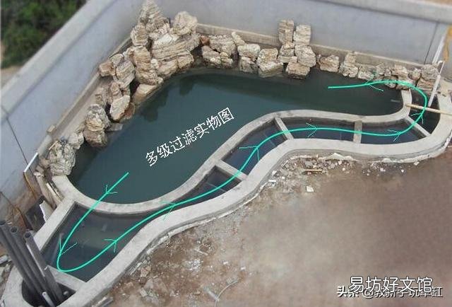 我有一个想法,鱼池中间建沙池,把水通过沙池再过滤到鱼池,沙池里面种植物,行不行?