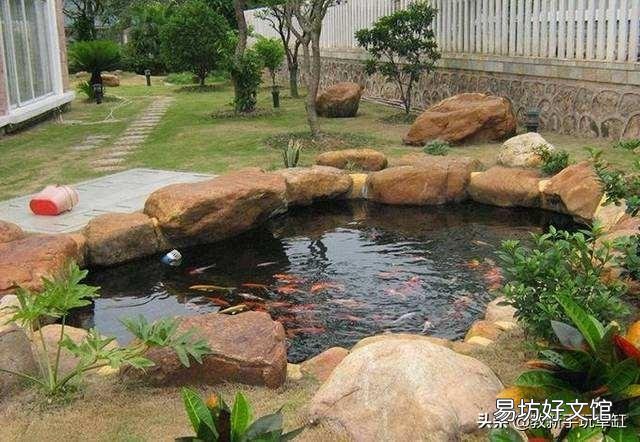 我有一个想法,鱼池中间建沙池,把水通过沙池再过滤到鱼池,沙池里面种植物,行不行?