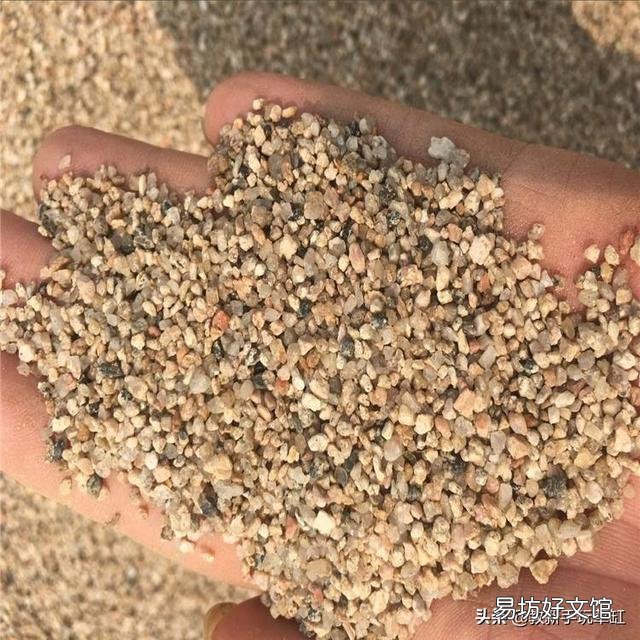 我有一个想法,鱼池中间建沙池,把水通过沙池再过滤到鱼池,沙池里面种植物,行不行?