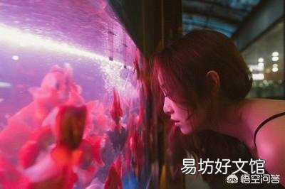 鱼缸里都是小气泡是怎么回事？