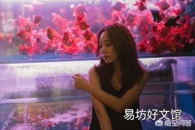 鱼缸如何消毒养鱼?