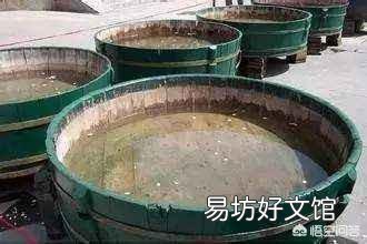 什么是古法养鱼?
