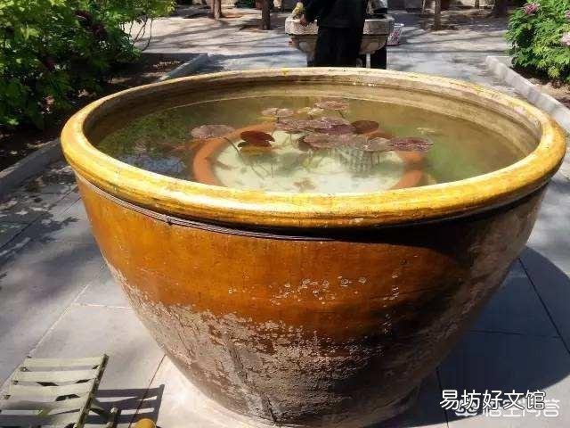 什么是古法养鱼?