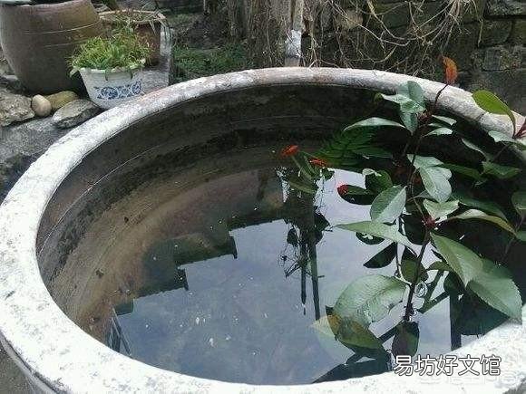 什么是古法养鱼?