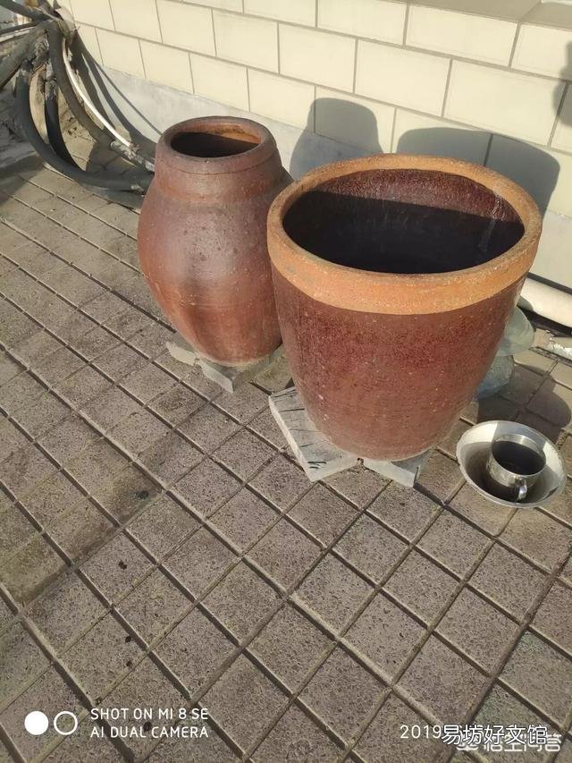 家用自来水如何处理才能加入到观赏鱼缸中?