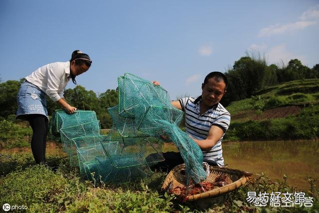 小龙虾塘底部有绿泥皮用什么消除？