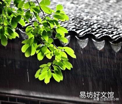 多雨季节,如何防止饲料霉变?