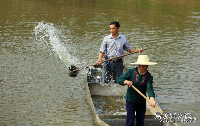 鱼塘消毒用什么代替生石灰比较好？