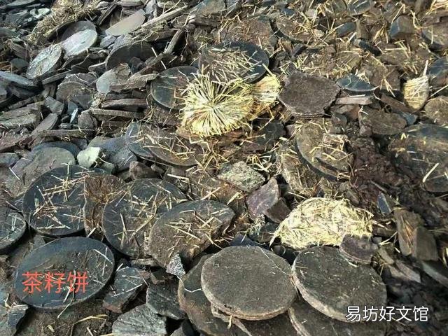 鱼塘消毒用什么代替生石灰比较好？