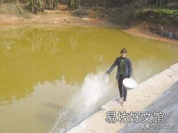 鱼塘消毒用什么代替生石灰比较好？