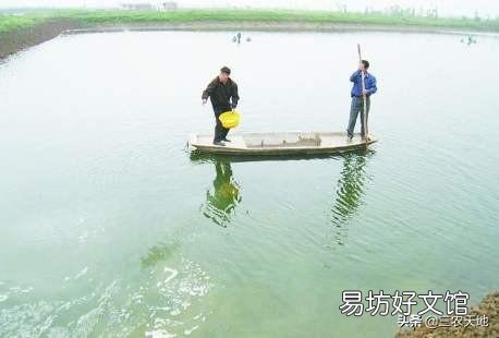 鱼塘消毒用什么代替生石灰比较好？