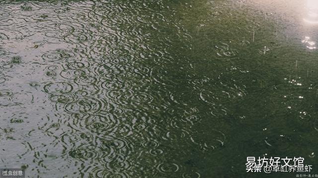 山泉水養什么魚比較合適？