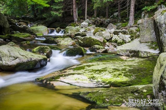 山泉水養什么魚比較合適？