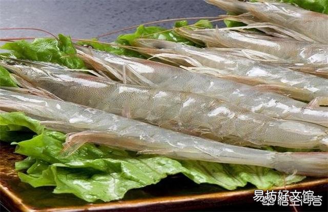 在网上哪里可以找到养南美对虾的技术?