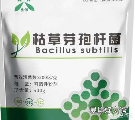 Em菌和芽孢杆菌泼洒鱼塘哪个优势强？