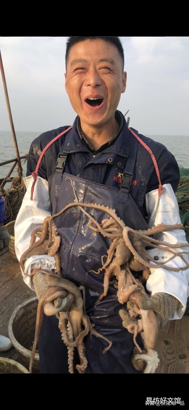 海鲜的内脏可以养殖什么?