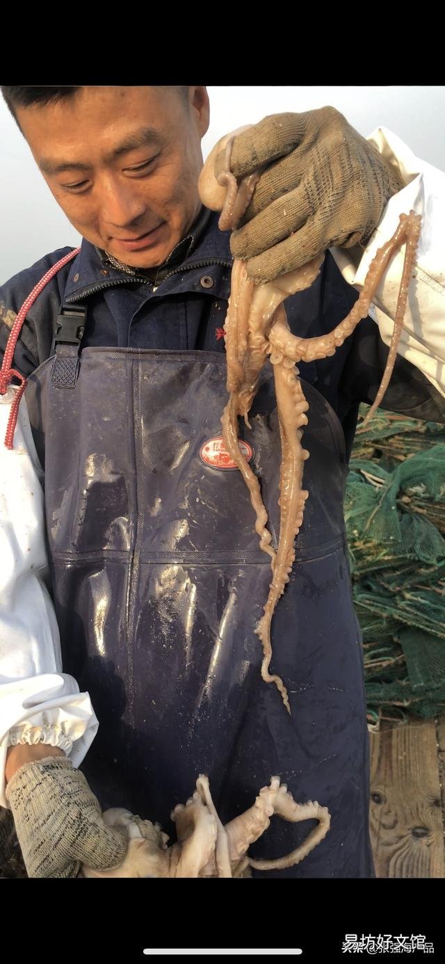 海鲜的内脏可以养殖什么?