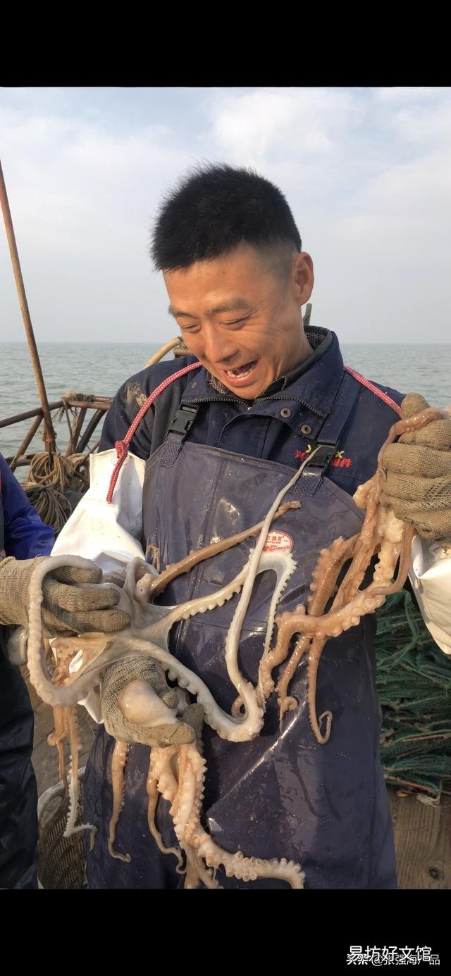 海鲜的内脏可以养殖什么?