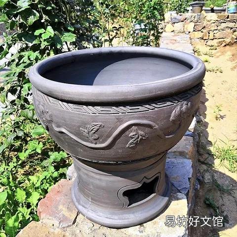 古缸适合养什么鱼?