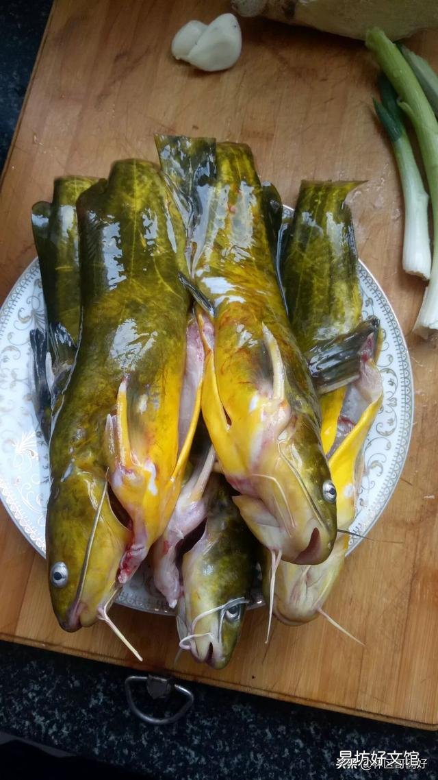 我想在老家挖塘养鱼,但是我老家水非常寒冷,冬天温度更低,请问一下适合养什么物种?