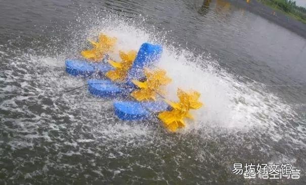 养鱼先养水,怎么才能养好水呢?