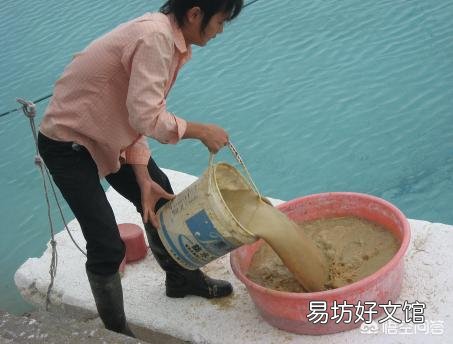 养鱼先养水,怎么才能养好水呢?