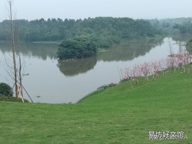 养鱼先养水,怎么才能养好水呢?