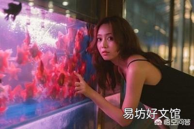 鱼缸不清澈,有点雾蒙蒙的感觉该怎么办?