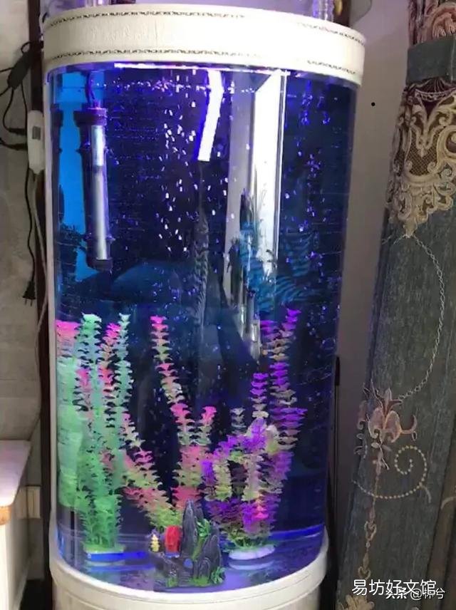 新手用魚缸養魚要買哪些東西？