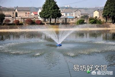 水质恶化如何做紧急处理？