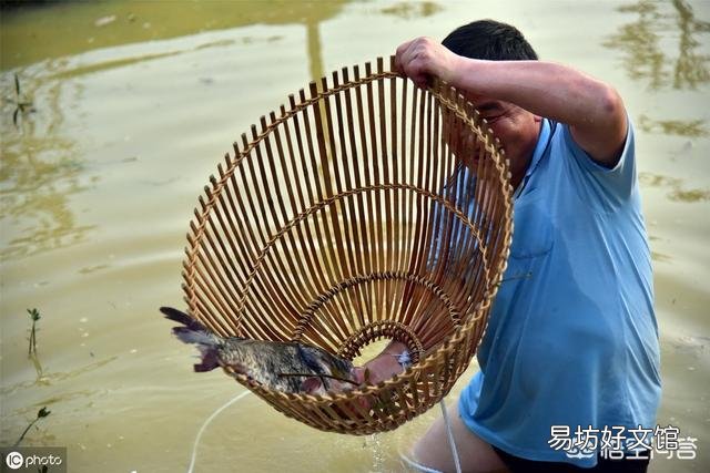 水质恶化如何做紧急处理？