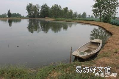 水质恶化如何做紧急处理？