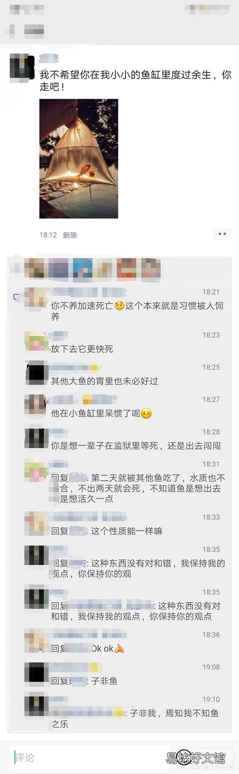 在淘宝买了草金鱼,养了一段时间后决定放生,发朋友圈被否定,您怎么看?