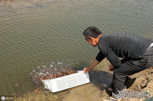 投放虾苗前，应该做好哪些准备工作？