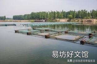 导致小龙虾生病的因素有哪些?
