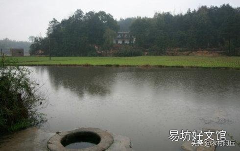 鱼塘消毒后几天可以加入新水?